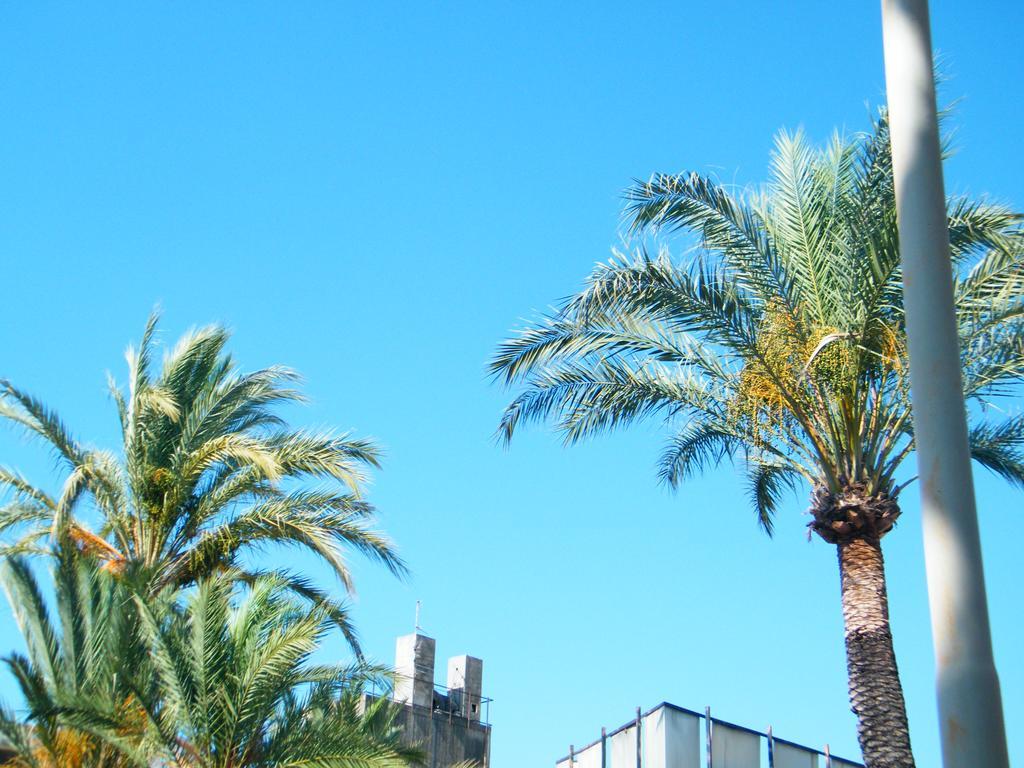 Appartamento Vacanze I Provenzali บอร์ดิเกรา ภายนอก รูปภาพ